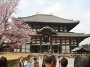厛